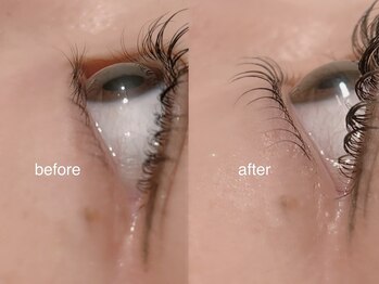 タビーリッタ(tabby litta)/上下まつげパーマ:*+。