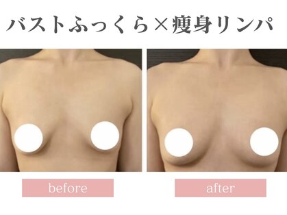 ミミーの写真