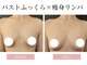 ミミーの写真