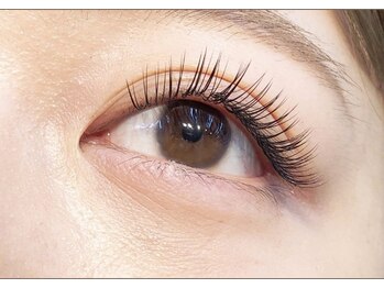 エルモ(elmo)/フラットラッシュ140本