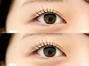 ティンク 関内店(Tink)/ラッシュリフト