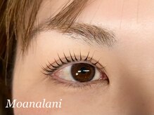 モアナラニ(MoanaLani)/【次世代まつ毛パーマ】