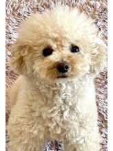 インスパイア フィットネス(INSPIRE FITNESS)&nbsp;コロ 