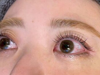 トムオウル(TOMOWL)/ラッシュリフト(上)