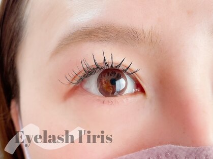 リリス(l'iris)の写真