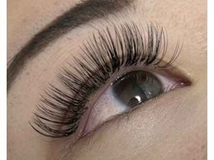 ムーン(Moon)の写真