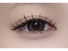 ミイプ(MEPP)/たにわき担当☆フラットラッシュ