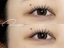 パピー(puppy)/アンドヘルシー120本