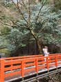 癒しと笑&nbsp;京都鞍馬寺西門橋