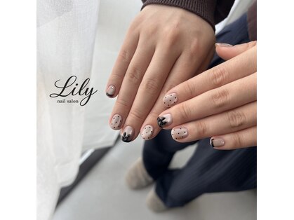 リリー(Lily)の写真