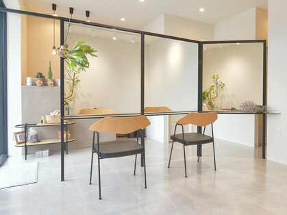 ラフ(Laugh)の写真