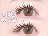 【LED】フラットラッシュ(マツエク)【80本】￥5,000