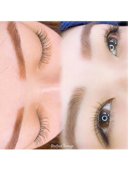 ビビッド(Vivid)/カーキブラウン