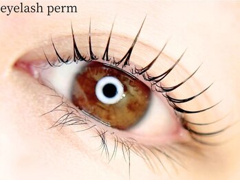 モストアイズ 東銀座(most eyes)の写真/【高技術で理想の目元へ！】根本から立ち上げる”パリジェンヌラッシュリフト”でナチュラルパッチリEYE♪