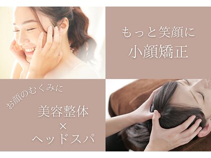 ハル(haru)の写真
