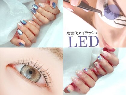 ノイ(noi.)の写真