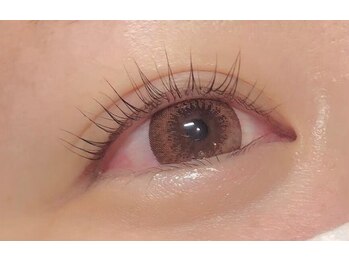 アポロランド ルーナ/ラッシュリフト