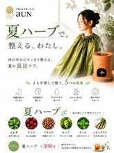 アウン(aUN)