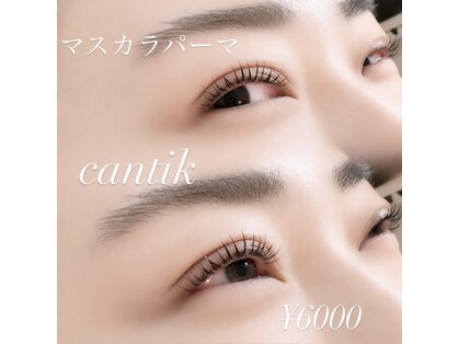 チャンティック (CANTIK)の写真