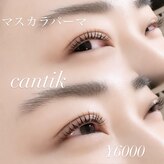 チャンティック (CANTIK)
