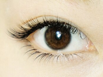 ソルアイラッシュサロン(SOL EYELASH SALON)/≪オーダーメイドエクステ≫