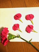 ベスト整体/自家製のドライフラワー(足湯用)