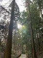 ランプ(LAMP) 福島出身です。盆地育ちのため、山があると落ち着きます。