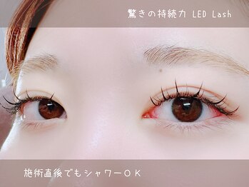 アイラッシュ オン(Eyelash On)