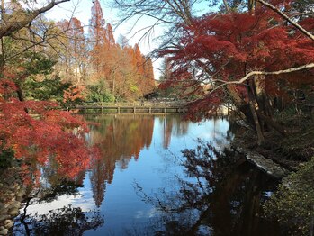 プライベートサロン ガンダーラ 吉祥寺(Privatesalon Gandhara)/井の頭公園側道沿いサロンです