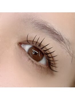 ベリーニ(Be.llini.)/バインドロック80束