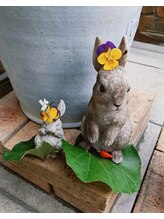 ヒビキ(HIBIKI)&nbsp;よこやま 