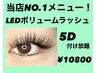 7月限定!LEDボリュームラッシュ☆5Dつけ放題!!10800円
