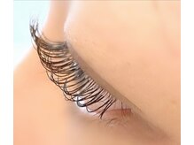 シエル(Ciel)/ダークブラウン　120本