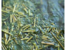 イチニーキュー(129)/スーパーフードモリンガ