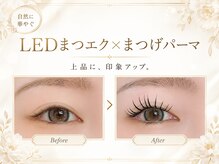 ホワイト(WHITE)