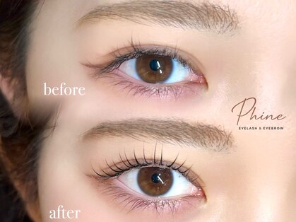 フィーヌ(Phine)の写真