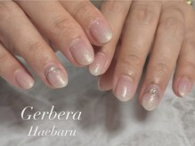 ジェルベーラ(Gerbera)/大人気！ベイビーブーマー