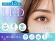 エトワール(Etoile)の写真