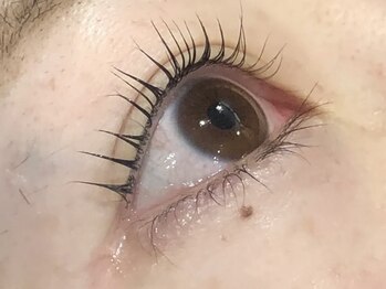 ピクシーボブ(Pixie Bob)/★マツパ直角スタイル