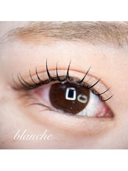 ブランシュ(blanche)/フラットラッシュ120本