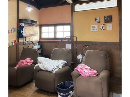 ナッシュ(nash)の写真