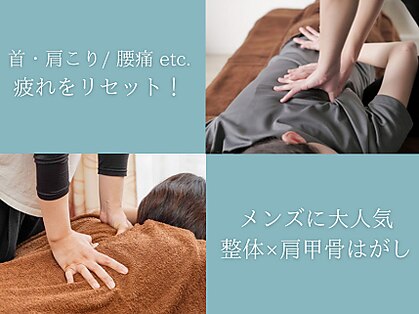 ハル(haru)の写真