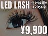 LED LASH☆2時間付け放題！ボリューム・フラット選べます