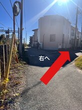 ミント/すぐにへ曲がります