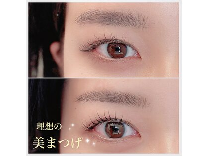 ハットウ(HATTO)の写真