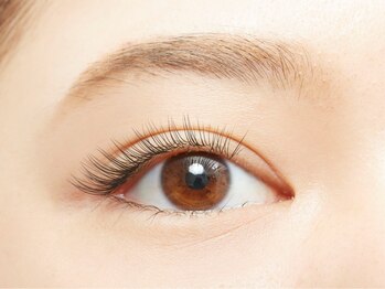 ネイルアンドまつげエクステ専門店 ナチュラル/セクシー120本