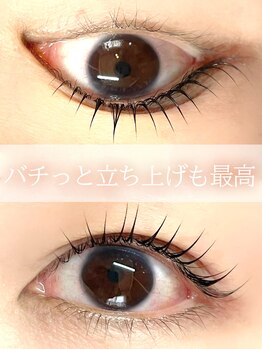 キト(KITO)/◇立ち上げまつげパーマ