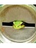 15.全員【平日限定】全身もみほぐし80分コース