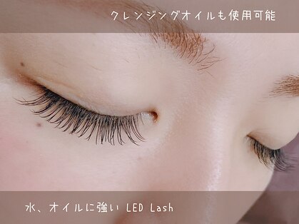 アイラッシュ オン(Eyelash On)の写真