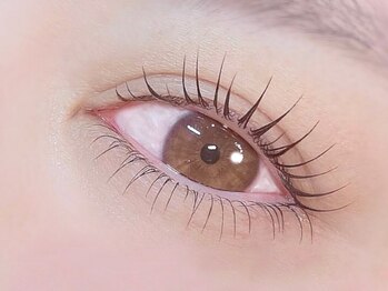 ハル 豊中本店(HAL)/上下パリジェンヌラッシュリフト